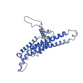 7036_6b2z_M_v1-5
Cryo-EM structure of the dimeric FO region of yeast mitochondrial ATP synthase