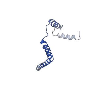 7036_6b2z_N_v1-5
Cryo-EM structure of the dimeric FO region of yeast mitochondrial ATP synthase