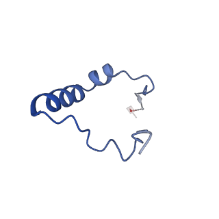 7036_6b2z_O_v1-5
Cryo-EM structure of the dimeric FO region of yeast mitochondrial ATP synthase