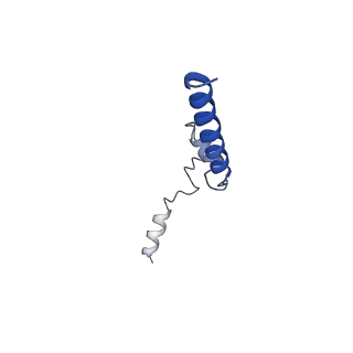 7036_6b2z_Q_v1-4
Cryo-EM structure of the dimeric FO region of yeast mitochondrial ATP synthase