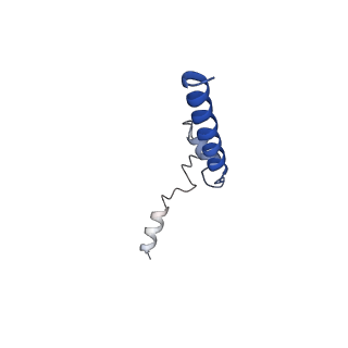 7036_6b2z_Q_v1-5
Cryo-EM structure of the dimeric FO region of yeast mitochondrial ATP synthase