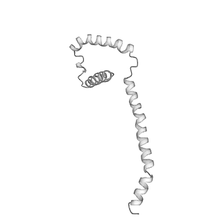 7036_6b2z_R_v1-5
Cryo-EM structure of the dimeric FO region of yeast mitochondrial ATP synthase