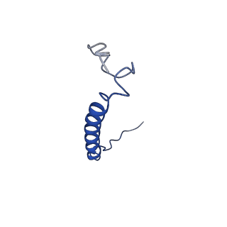 7036_6b2z_S_v1-4
Cryo-EM structure of the dimeric FO region of yeast mitochondrial ATP synthase