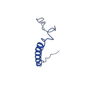 7036_6b2z_S_v1-5
Cryo-EM structure of the dimeric FO region of yeast mitochondrial ATP synthase