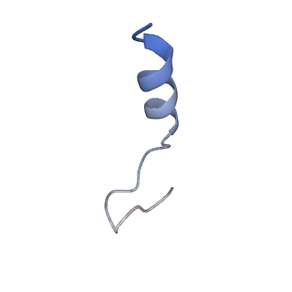 7036_6b2z_T_v1-5
Cryo-EM structure of the dimeric FO region of yeast mitochondrial ATP synthase