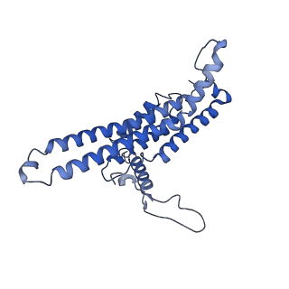 7036_6b2z_a_v1-4
Cryo-EM structure of the dimeric FO region of yeast mitochondrial ATP synthase