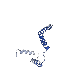 7036_6b2z_b_v1-5
Cryo-EM structure of the dimeric FO region of yeast mitochondrial ATP synthase