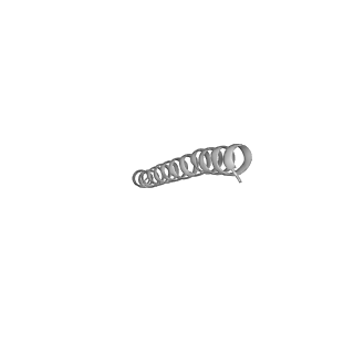 7036_6b2z_e_v1-5
Cryo-EM structure of the dimeric FO region of yeast mitochondrial ATP synthase