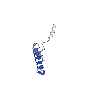 7036_6b2z_f_v1-4
Cryo-EM structure of the dimeric FO region of yeast mitochondrial ATP synthase
