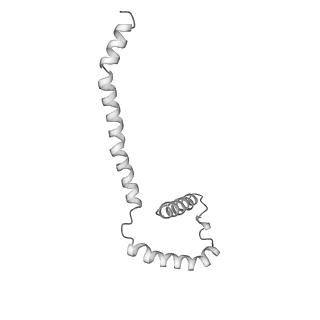 7036_6b2z_g_v1-5
Cryo-EM structure of the dimeric FO region of yeast mitochondrial ATP synthase