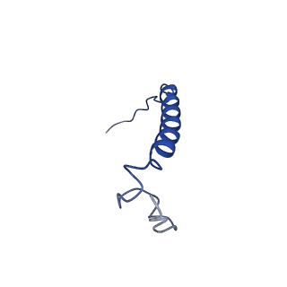 7036_6b2z_i_v1-4
Cryo-EM structure of the dimeric FO region of yeast mitochondrial ATP synthase