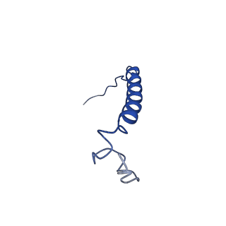 7036_6b2z_i_v1-5
Cryo-EM structure of the dimeric FO region of yeast mitochondrial ATP synthase