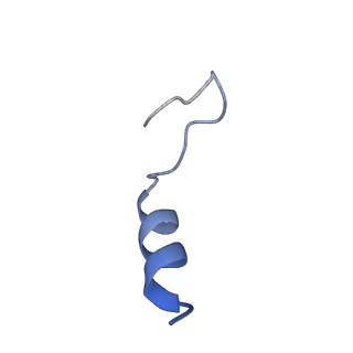 7036_6b2z_k_v1-5
Cryo-EM structure of the dimeric FO region of yeast mitochondrial ATP synthase