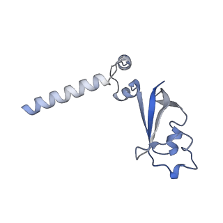 11994_7b3c_B_v1-3
Structure of elongating SARS-CoV-2 RNA-dependent RNA polymerase with Remdesivir at position -4 (structure 2)