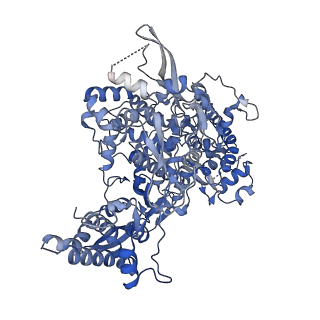 11995_7b3d_A_v1-2
Structure of elongating SARS-CoV-2 RNA-dependent RNA polymerase with AMP at position -4 (structure 3)