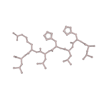 15824_8b3a_B_v1-0
catalytic amyloid fibril formed by Ac-LHLHLRL-amide