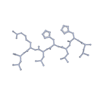 15824_8b3a_H_v1-0
catalytic amyloid fibril formed by Ac-LHLHLRL-amide
