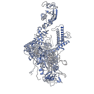 15825_8b3d_A_v1-0
Structure of the Pol II-TCR-ELOF1 complex.