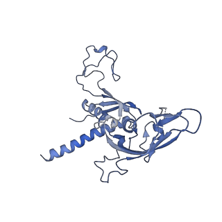 15825_8b3d_C_v1-0
Structure of the Pol II-TCR-ELOF1 complex.