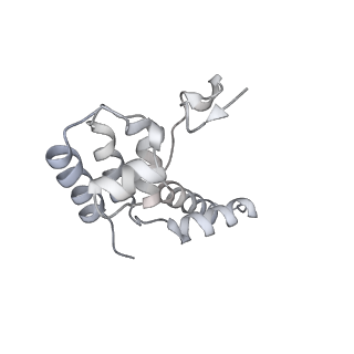 15825_8b3d_D_v1-0
Structure of the Pol II-TCR-ELOF1 complex.