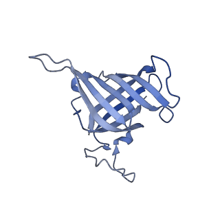 15825_8b3d_H_v1-0
Structure of the Pol II-TCR-ELOF1 complex.