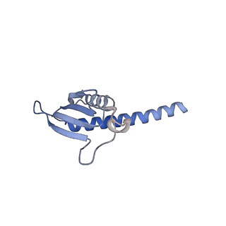 15825_8b3d_K_v1-0
Structure of the Pol II-TCR-ELOF1 complex.