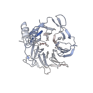 15825_8b3d_a_v1-0
Structure of the Pol II-TCR-ELOF1 complex.