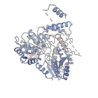 15825_8b3d_b_v1-0
Structure of the Pol II-TCR-ELOF1 complex.