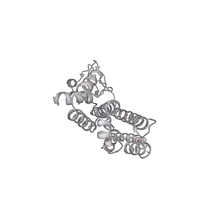 15825_8b3d_c_v1-0
Structure of the Pol II-TCR-ELOF1 complex.