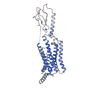 7039_6b3j_R_v1-3
3.3 angstrom phase-plate cryo-EM structure of a biased agonist-bound human GLP-1 receptor-Gs complex
