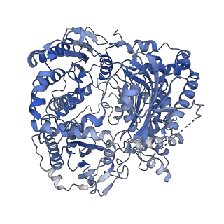 7041_6b3q_A_v1-5
Cryo-EM structure of human insulin degrading enzyme in complex with insulin