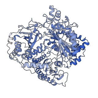 7041_6b3q_B_v1-5
Cryo-EM structure of human insulin degrading enzyme in complex with insulin