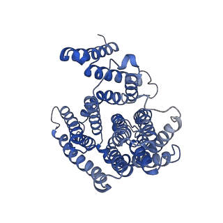 12002_7b4l_A_v1-0
CryoEM structure of the human sodium proton exchanger NHA2