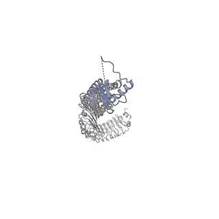 15835_8b40_A_v1-2
Structure of homomeric LRRC8C Volume-Regulated Anion Channel