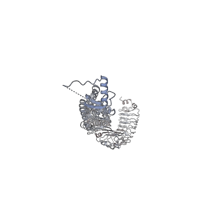 15835_8b40_B_v1-2
Structure of homomeric LRRC8C Volume-Regulated Anion Channel