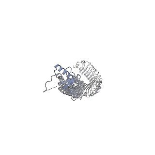 15835_8b40_C_v1-2
Structure of homomeric LRRC8C Volume-Regulated Anion Channel