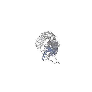15835_8b40_E_v1-2
Structure of homomeric LRRC8C Volume-Regulated Anion Channel