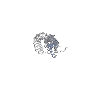 15835_8b40_F_v1-2
Structure of homomeric LRRC8C Volume-Regulated Anion Channel