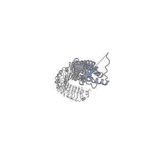 15835_8b40_G_v1-2
Structure of homomeric LRRC8C Volume-Regulated Anion Channel