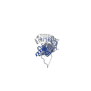 15836_8b41_B_v1-2
Structure of heteromeric LRRC8A/C (1:1 co-transfected) Volume-Regulated Anion Channel in complex with synthetic nanobody Sb1