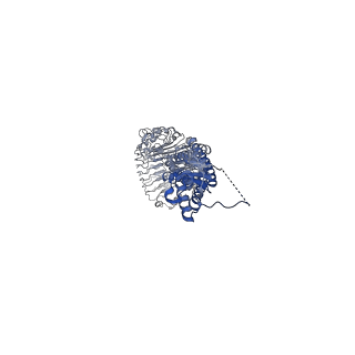 15836_8b41_C_v1-2
Structure of heteromeric LRRC8A/C (1:1 co-transfected) Volume-Regulated Anion Channel in complex with synthetic nanobody Sb1