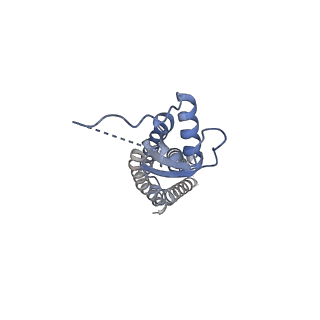 15836_8b41_F_v1-2
Structure of heteromeric LRRC8A/C (1:1 co-transfected) Volume-Regulated Anion Channel in complex with synthetic nanobody Sb1