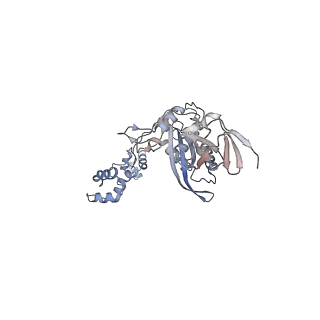 15848_8b4h_B_v1-0
IstA transposase cleaved donor complex