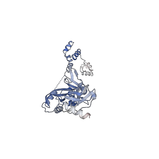 15848_8b4h_C_v1-0
IstA transposase cleaved donor complex