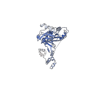 15848_8b4h_D_v1-0
IstA transposase cleaved donor complex