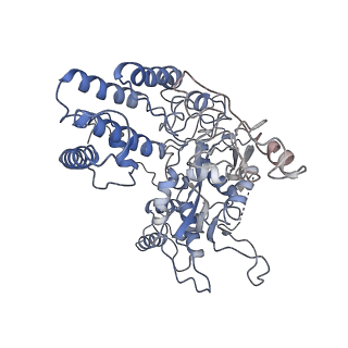 7046_6b40_A_v1-5
BbRAGL-3'TIR synaptic complex with nicked DNA refined with C2 symmetry