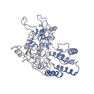 7046_6b40_E_v1-5
BbRAGL-3'TIR synaptic complex with nicked DNA refined with C2 symmetry