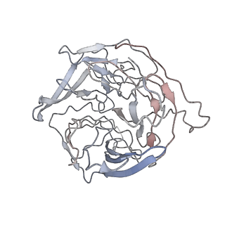 7046_6b40_N_v1-5
BbRAGL-3'TIR synaptic complex with nicked DNA refined with C2 symmetry