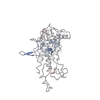 7048_6b44_A_v1-2
Cryo-EM structure of Type I-F CRISPR crRNA-guided Csy surveillance complex with bound target dsDNA