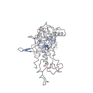 7048_6b44_A_v1-3
Cryo-EM structure of Type I-F CRISPR crRNA-guided Csy surveillance complex with bound target dsDNA